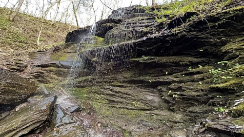 A serene waterfall cascading over moss-covered rocks in a lush, green forest setting.