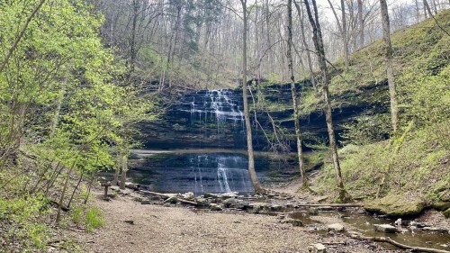 A serene waterfall cascades down rocky cliffs, surrounded by lush greenery and trees in a tranquil forest setting.