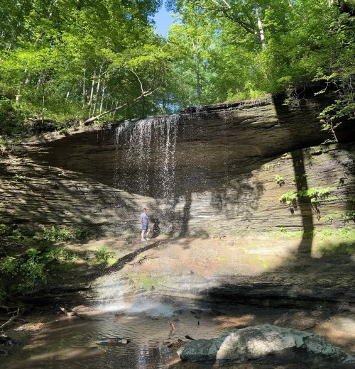A person stands near a waterfall surrounded by lush greenery and rocky terrain on a sunny day.