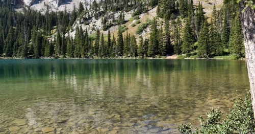 A serene lake surrounded by tall pine trees and majestic mountains under a clear blue sky.