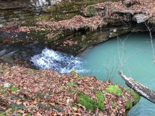 A serene scene of a small waterfall flowing into a turquoise pool, surrounded by autumn leaves and mossy rocks.
