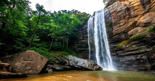 A serene waterfall cascades down rocky cliffs into a tranquil pool, surrounded by lush green trees.