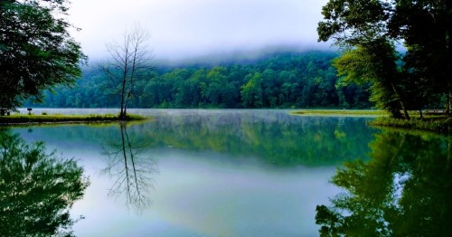 A serene lake surrounded by lush greenery and misty hills, with reflections of trees on the calm water surface.