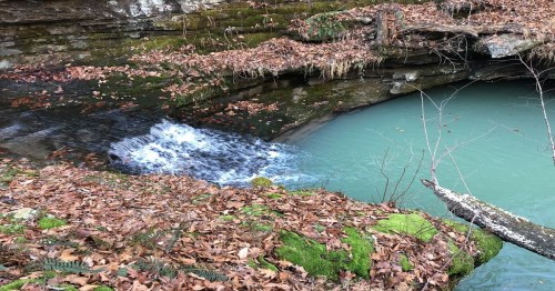 A serene scene of a turquoise stream flowing over rocks, surrounded by autumn leaves and mossy stones.