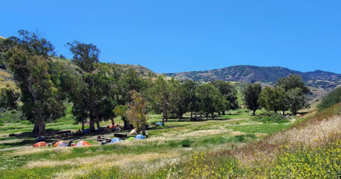 A sunny landscape with green fields, scattered tents, and trees, set against a backdrop of rolling hills.