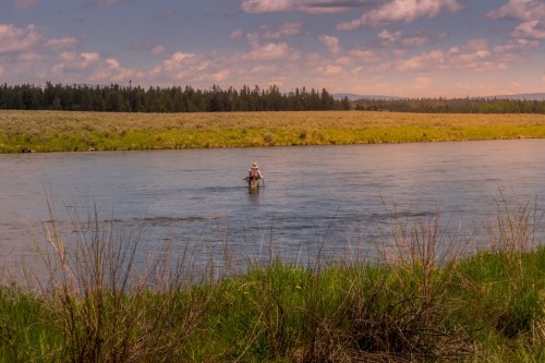 A person wades through a calm river surrounded by lush greenery and distant trees under a partly cloudy sky.
