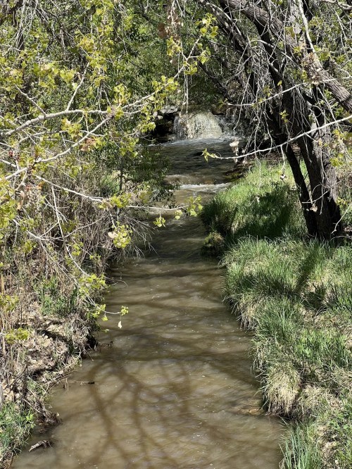 A serene stream flows through a lush, green landscape, surrounded by trees and grass.