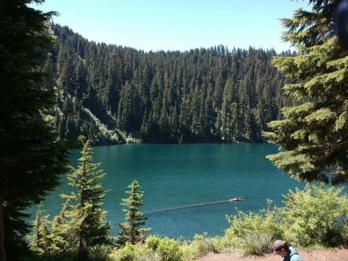 A serene lake surrounded by lush green trees, with a small boat gliding across the water under a clear blue sky.