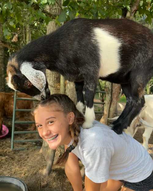 A girl smiles as a goat playfully stands on her shoulders in a farm setting. Trees and other goats are in the background.