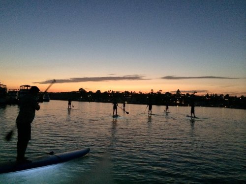 Silhouettes of paddleboarders on calm water at sunset, with a colorful sky and distant shoreline.