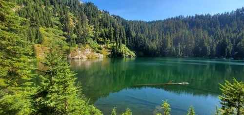 A serene lake surrounded by lush green trees and mountains under a clear blue sky.