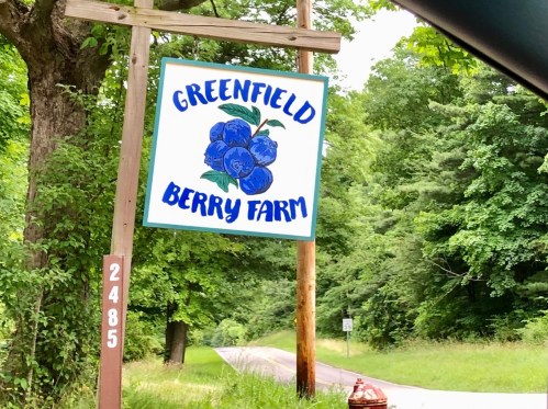 Sign for Greenfield Berry Farm featuring a blue blueberry illustration, surrounded by trees along a rural road.