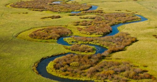 Aerial view of a winding river flowing through lush green fields and patches of shrubs.