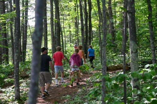 A group of people walking along a wooded trail surrounded by green trees and sunlight filtering through the leaves.