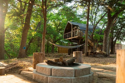 exterior of hobbit-themed treehouse with trees surrounding