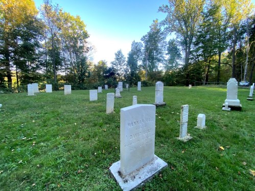 A peaceful cemetery with white gravestones set among green grass and trees under a clear blue sky.