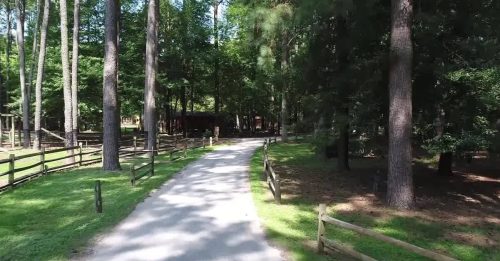 A winding path through a wooded area with tall trees and a wooden fence on either side.