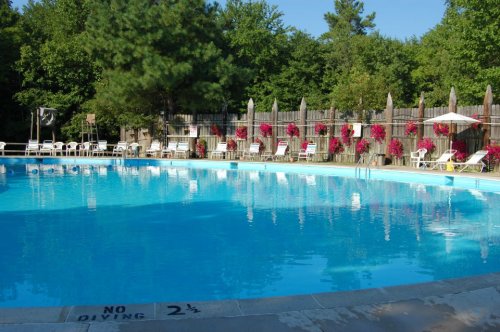 A clear blue swimming pool surrounded by lounge chairs and vibrant flowers, set against a backdrop of trees.