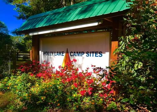 Sign for Holly Lake Camp Sites surrounded by colorful flowers and greenery, with a green roof above.