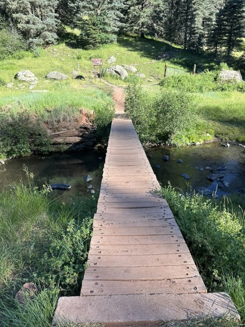 A wooden bridge spans a small stream, surrounded by lush green grass and trees in a serene outdoor setting.