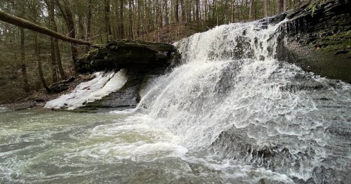A serene waterfall cascading over rocky terrain, surrounded by lush green trees in a tranquil forest setting.