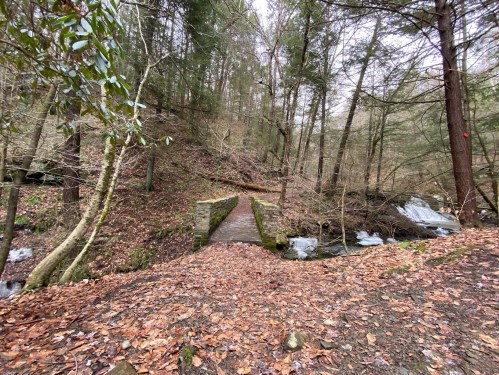 A stone bridge over a small stream, surrounded by trees and fallen leaves in a wooded area.