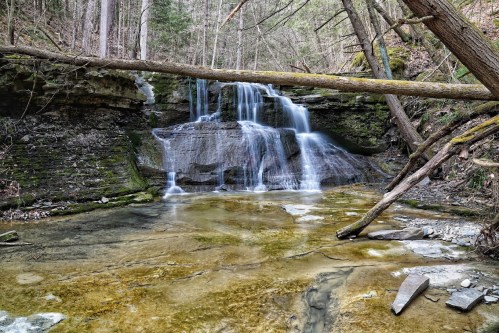 A serene waterfall cascades over rocks into a clear pool, surrounded by lush greenery and fallen trees.