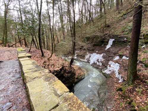 A winding stream flows through a wooded area, with rocky banks and patches of ice among the trees.