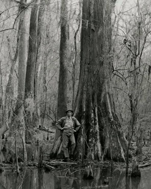 A person stands beside a large tree in a forested area, surrounded by water and bare trees. The image is in black and white.
