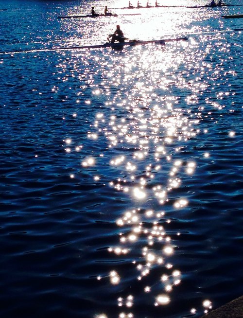 Rowers glide across a shimmering water surface, reflecting sunlight in a tranquil scene.