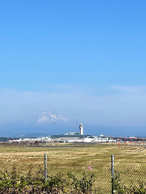 A clear view of an airport with a mountain in the background under a blue sky. Fenced grassy area in the foreground.