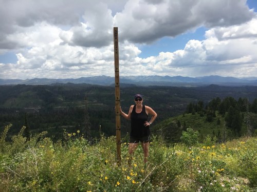 A person stands next to a tall wooden post on a mountain, surrounded by wildflowers and a scenic view of distant mountains.