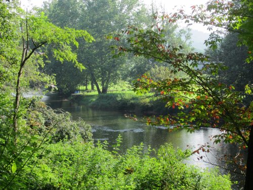 A serene river flows through lush greenery, framed by trees and vibrant foliage under a clear sky.