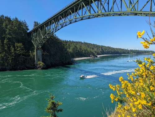 A green bridge spans a turquoise river surrounded by lush trees and yellow flowers, with a boat cruising below.