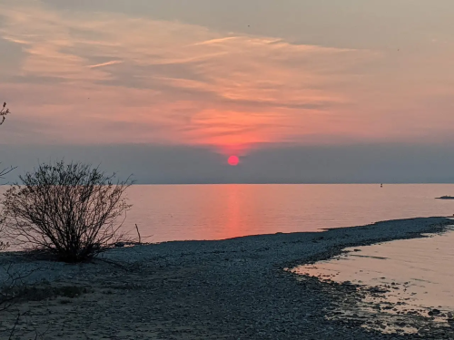 A serene sunset over calm waters, with a silhouette of a tree and shoreline reflecting the warm colors of the sky.