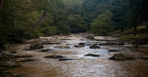 A serene river flows through a wooded area, with rocks scattered along its banks under a canopy of trees.