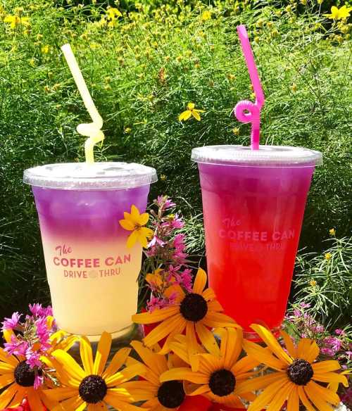 Two colorful drinks in clear cups with straws, surrounded by vibrant flowers in a sunny outdoor setting.