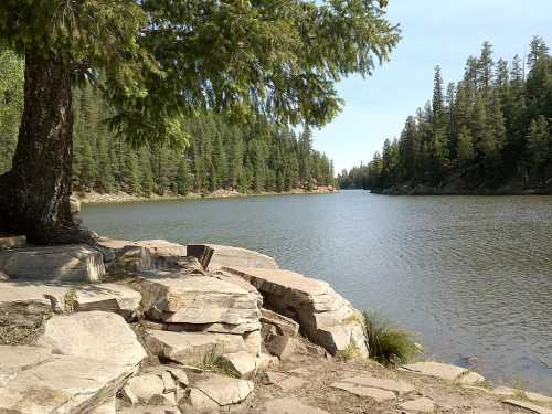 A serene lake surrounded by trees, with rocky shores and calm water reflecting the blue sky.