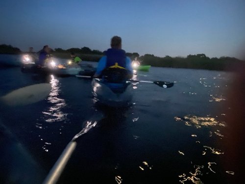 A group of kayakers paddling on a dark waterway, illuminated by lights, with trees in the background.