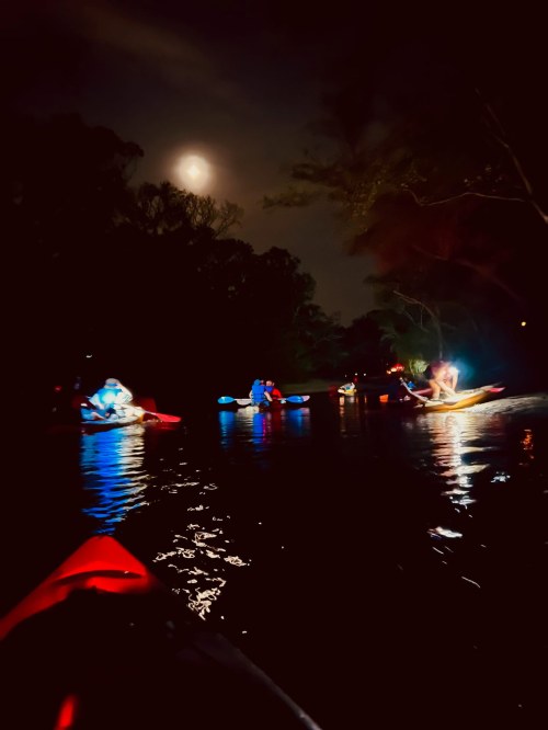 A group of kayakers paddles on a dark river illuminated by moonlight and colorful lights from their boats.