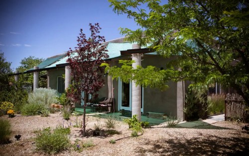 A modern house with a green roof, surrounded by trees and shrubs, set in a sunny outdoor landscape.