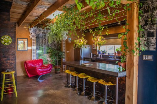 A modern kitchen with a wooden bar, colorful stools, and lush green plants hanging from the ceiling.