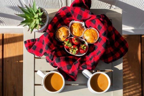 A cozy table setting with two coffee mugs, muffins, strawberries, and a small plant on a red plaid blanket.