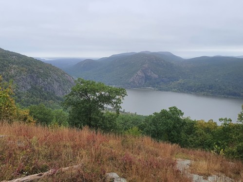 A scenic view of a lake surrounded by green hills and overcast skies, with grass and trees in the foreground.