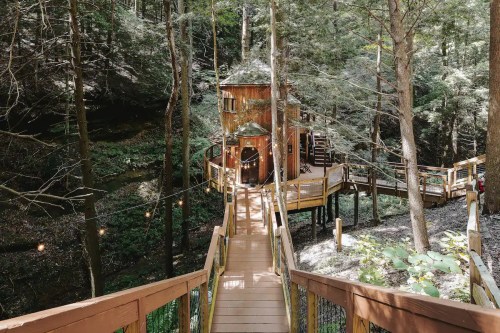 A wooden pathway leads to a whimsical treehouse surrounded by lush green trees in a forest setting.
