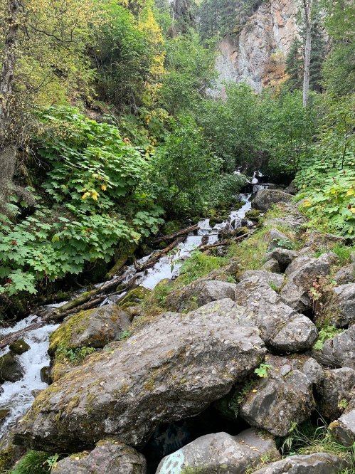 A serene stream flows through a lush green landscape, surrounded by rocks and trees in a mountainous area.
