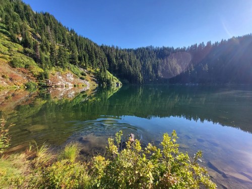 A serene lake surrounded by lush green trees and mountains, reflecting the clear blue sky.