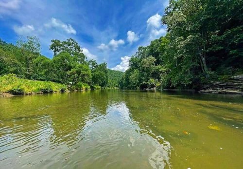 A serene river surrounded by lush green trees under a bright blue sky with fluffy clouds.