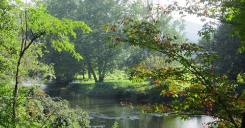 A serene river flows through a lush green landscape, surrounded by trees and gentle sunlight.
