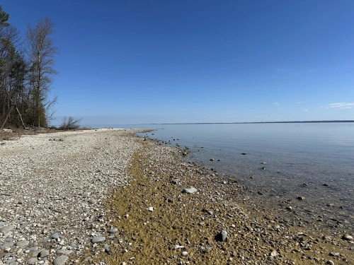 A serene shoreline with pebbles and sand, under a clear blue sky and calm water. Trees line the background.